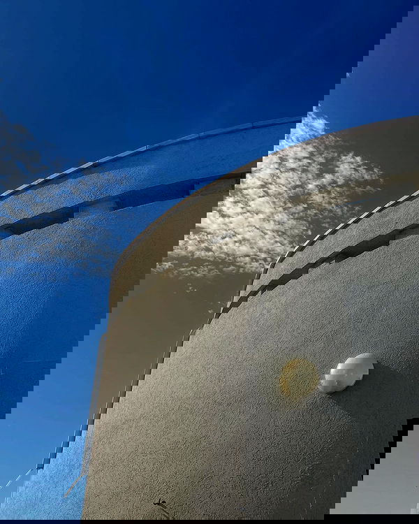 ronyida_ image ~ Altpins