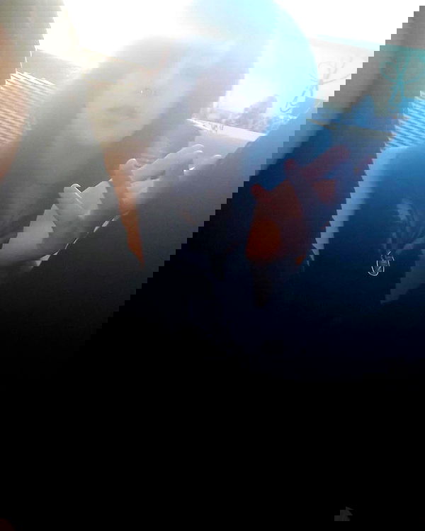 rose_xanne rose_xanne archive image