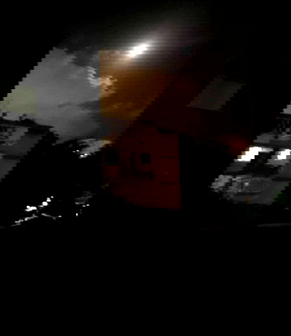 rose_xanne rose_xanne archive image