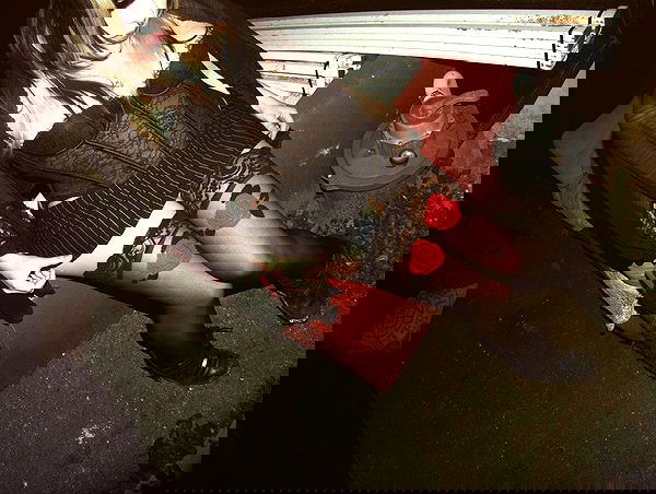 rose_xanne rose_xanne archive image