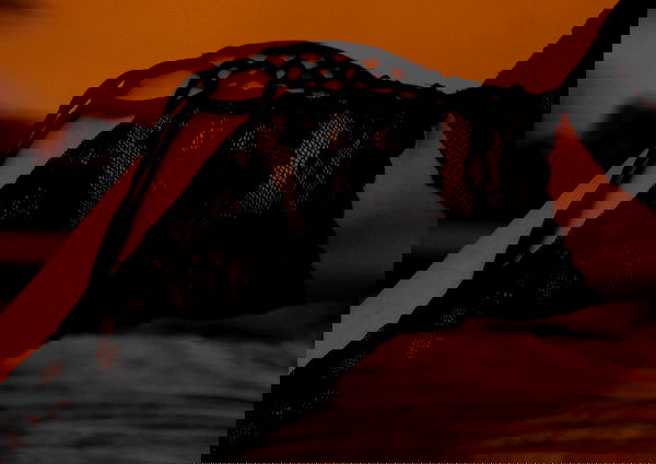 rose_xanne rose_xanne archive image