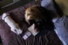 roseasmrofficial Altpins Profile Picture