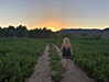 roseasmrofficial Altpins Profile Picture