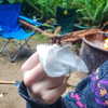 roseasmrofficial Altpins Profile Picture