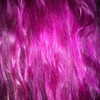 roseasmrofficial Altpins Profile Picture