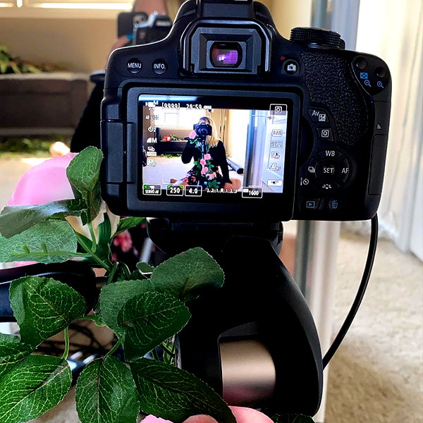 roseasmrofficial instagram image archive image