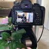 roseasmrofficial Altpins Profile Picture