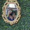 roseasmrofficial Altpins Profile Picture