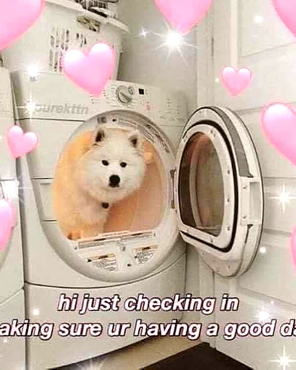 runabyt3 instagram image archive image