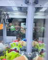 runabyt3 Altpins Profile Picture