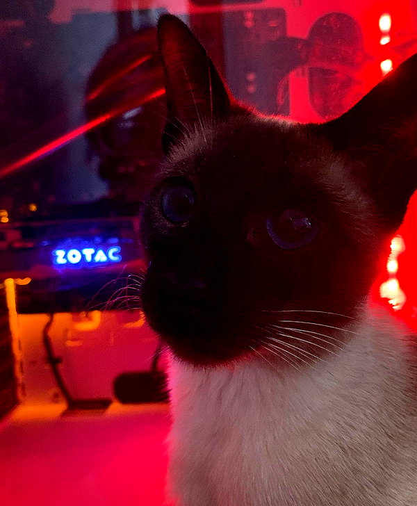 runafangz instagram image archive image
