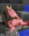 runafangz Altpins Profile Picture