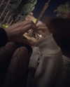 s4vqss Altpins Profile Picture