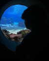sa3hka Altpins Profile Picture