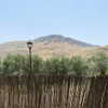 sa3hka Altpins Profile Picture