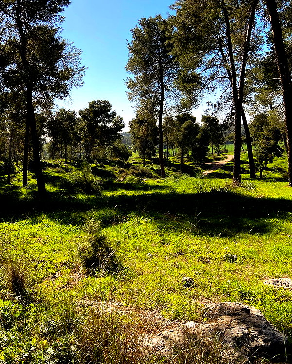 sa3hka instagram image archive image