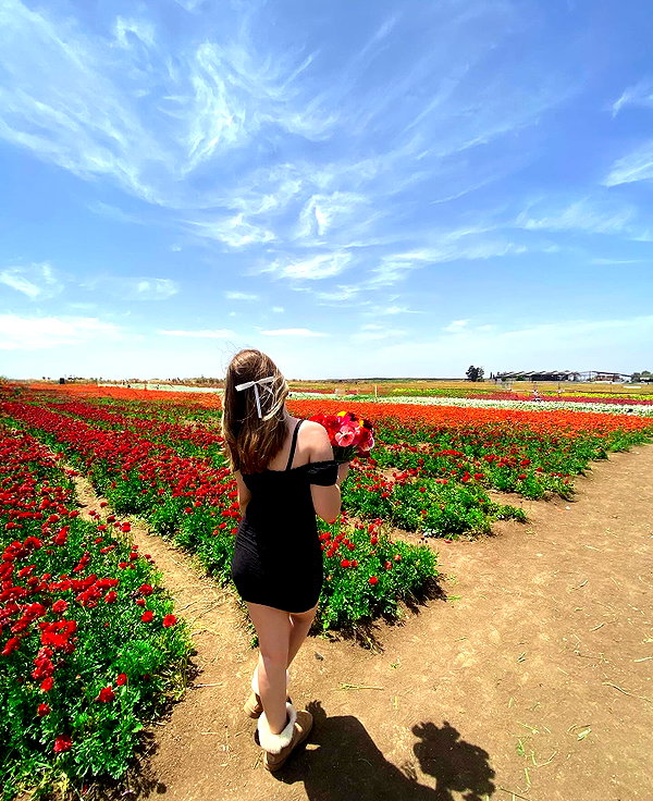 sa3hka instagram image archive image