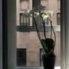 sabinapaellmann Altpins Profile Picture