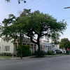 sabinapaellmann Altpins Profile Picture
