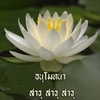 sabinapaellmann Altpins Profile Picture