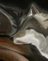 sabinapaellmann Altpins Profile Picture
