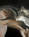 sabinapaellmann Altpins Profile Picture
