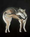 sabinapaellmann Altpins Profile Picture