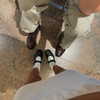 sabinapaellmann Altpins Profile Picture