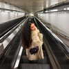 sabinapaellmann Altpins Profile Picture