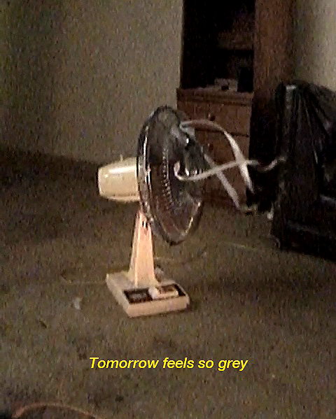 sadswim instagram image archive image