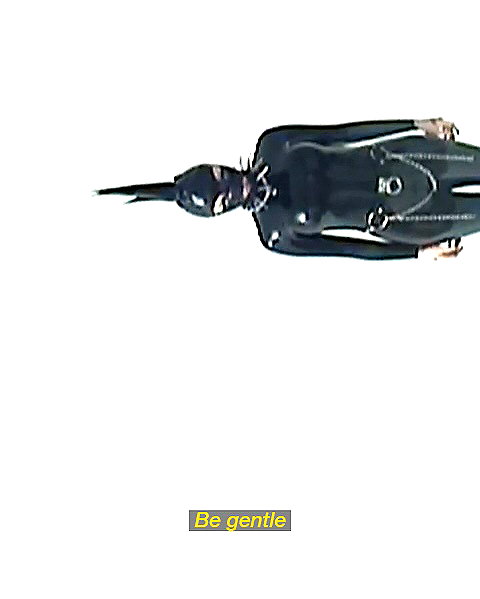sadswim instagram image archive image