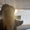 saekkico Altpins Profile Picture