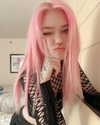saekkico Altpins Profile Picture