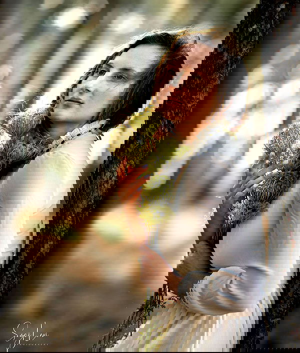 sagi.photo sagi.photo archive image