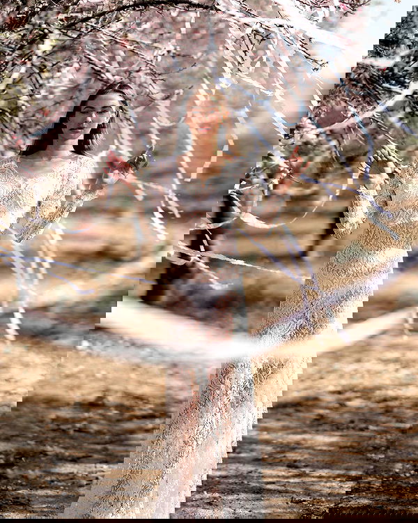 sagi.photo sagi.photo archive image