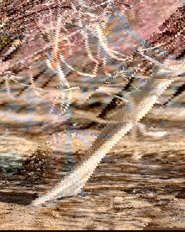 sagi.photo sagi.photo archive image