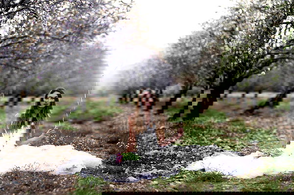 sagi.photo sagi.photo archive image