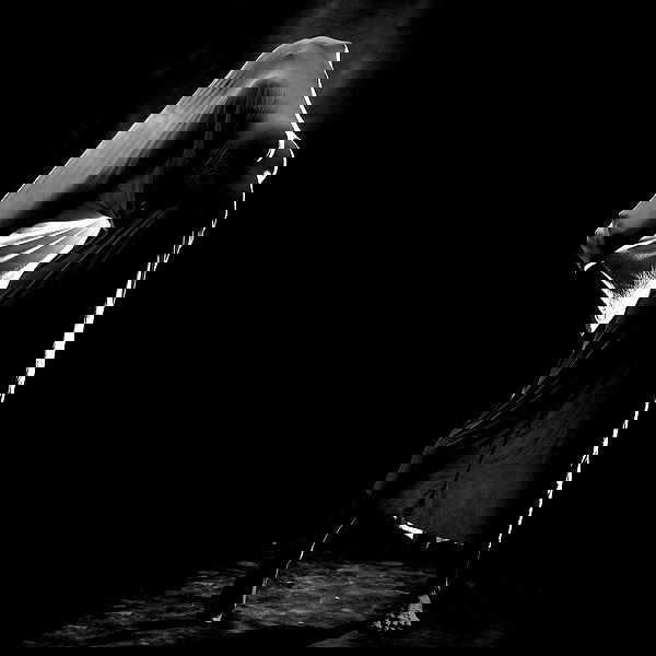 sagi.photo sagi.photo archive image