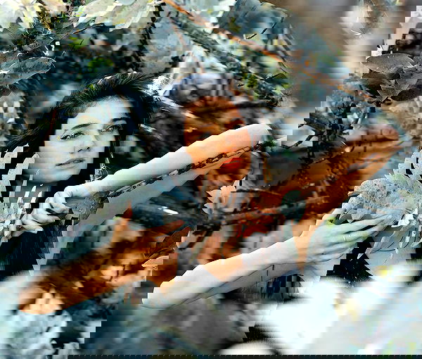 sagi.photo sagi.photo archive image