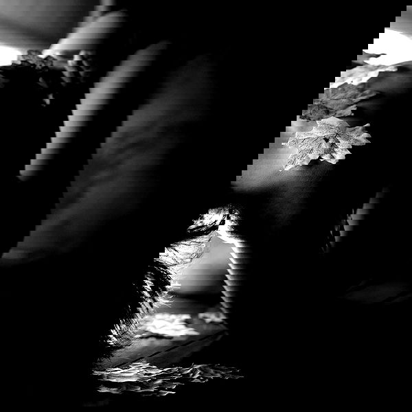 sagi.photo sagi.photo archive image