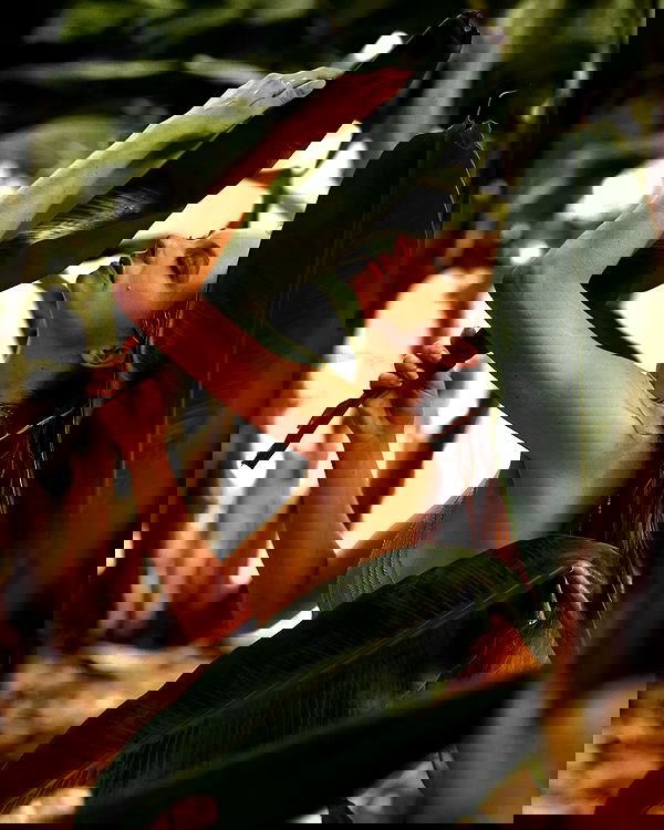 sagi.photo sagi.photo archive image