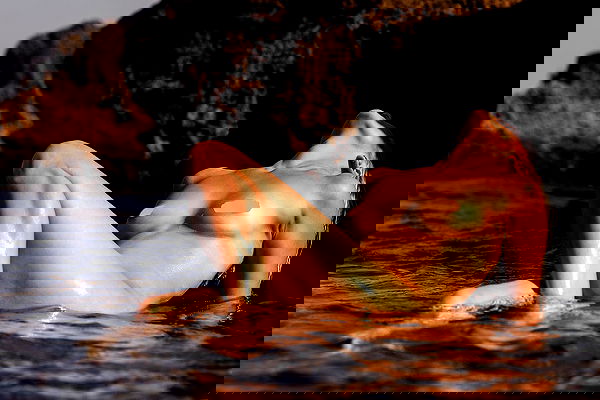 sagi.photo sagi.photo archive image