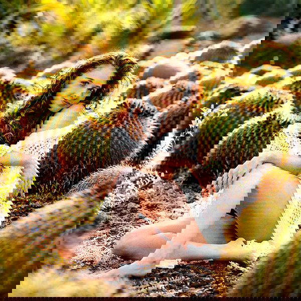 sagi.photo sagi.photo archive image