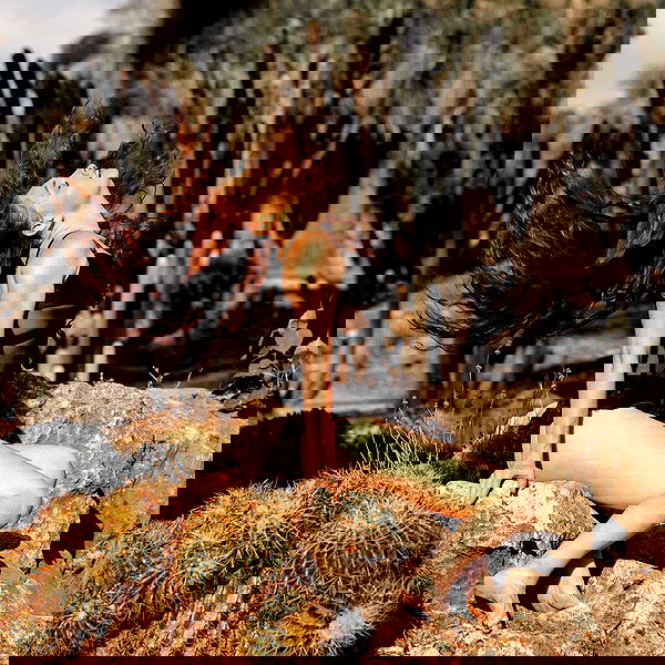 sagi.photo sagi.photo archive image