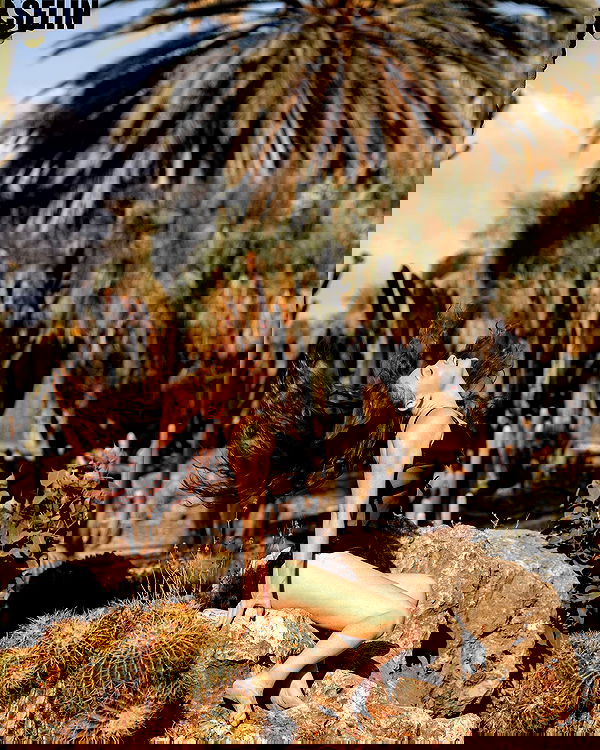 sagi.photo sagi.photo archive image