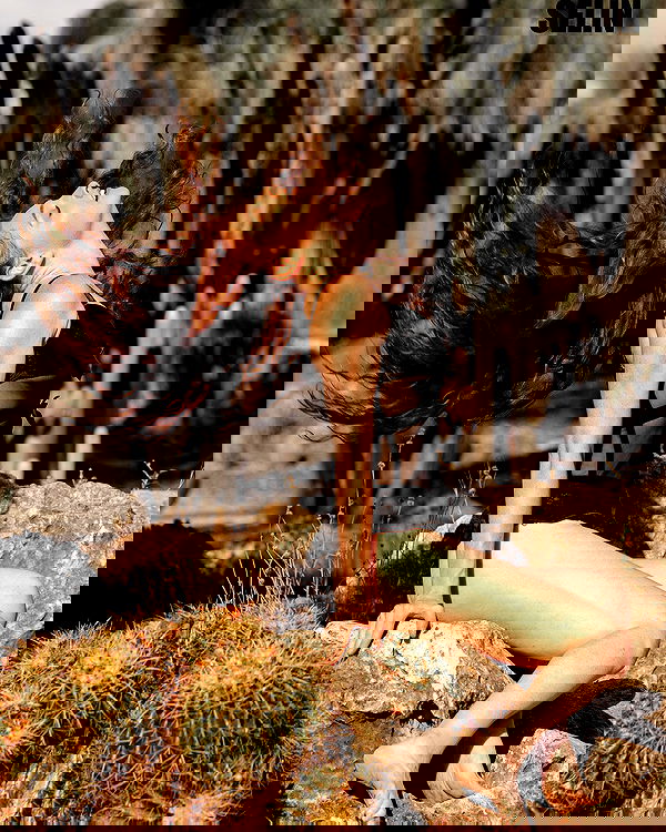 sagi.photo sagi.photo archive image