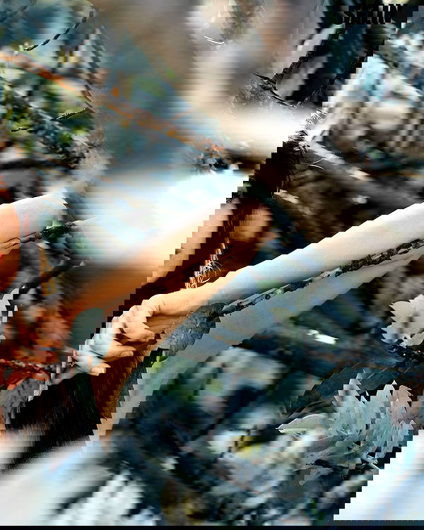 sagi.photo sagi.photo archive image