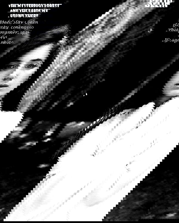 sagi.photo sagi.photo archive image