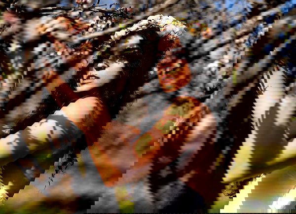 sagi.photo sagi.photo archive image