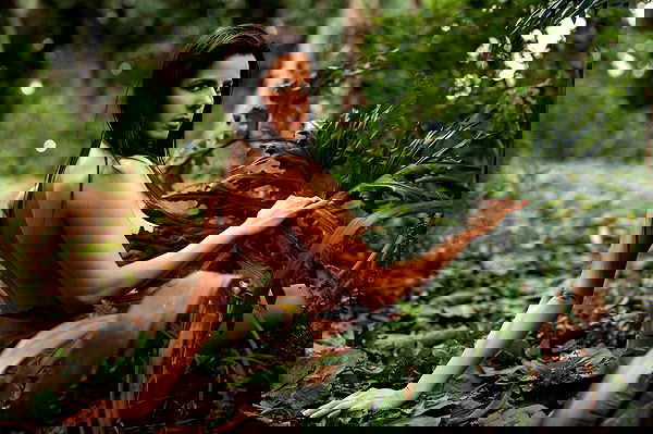 sagi.photo sagi.photo archive image